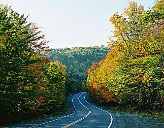 未来游戏展：模拟游戏《酿酒大师》新预告